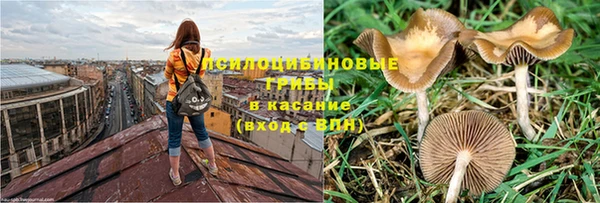 кокаин колумбия Алексин