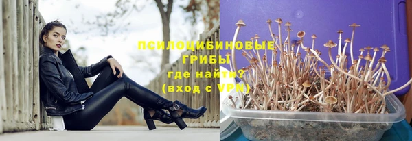 сатива Алексеевка