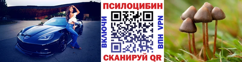 Псилоцибиновые грибы ЛСД  Люберцы 